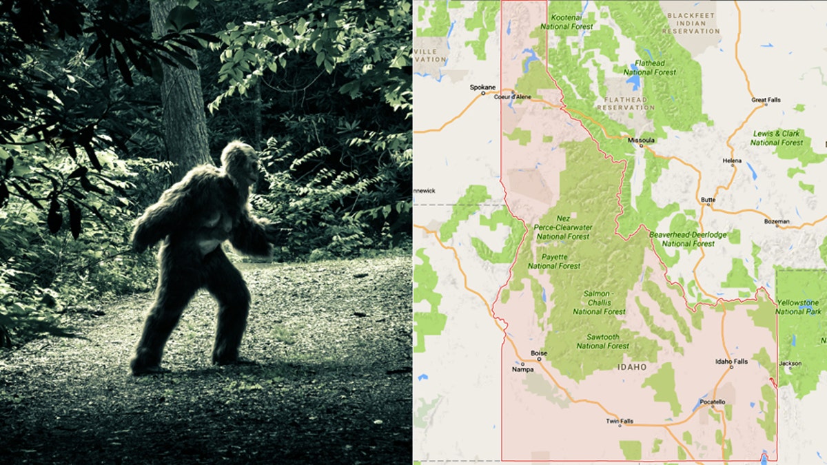 sasquatch idaho