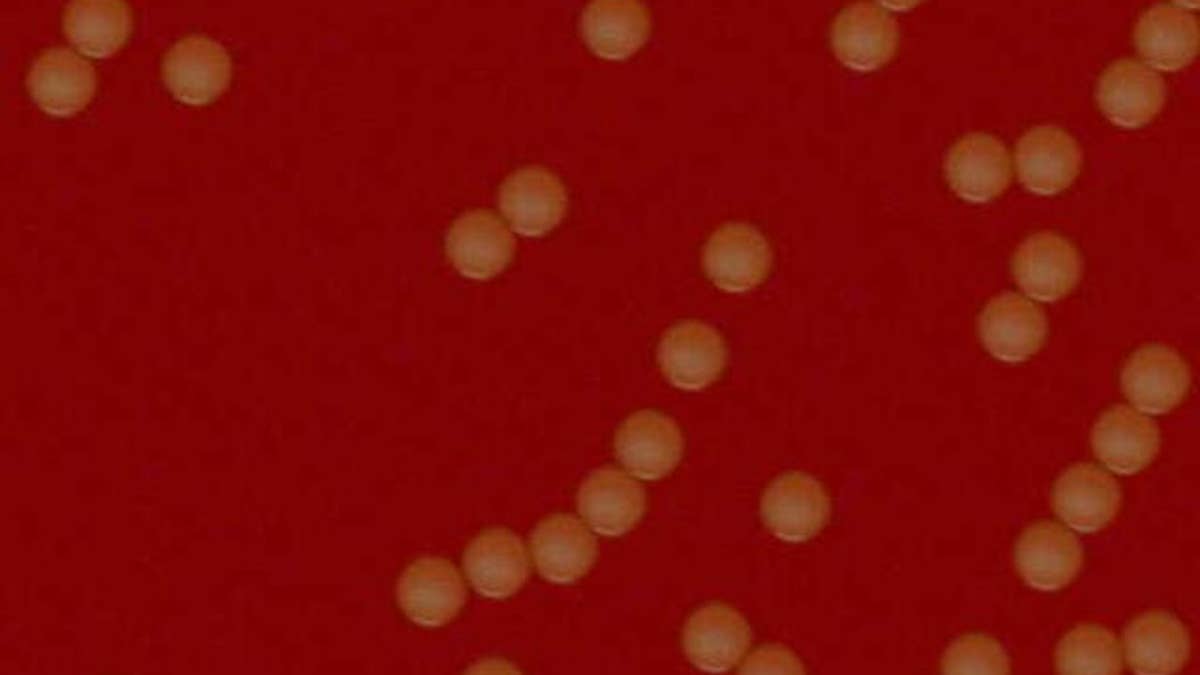 1f33d400-