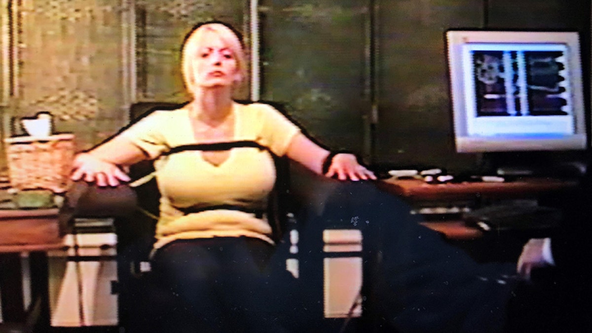 stormy polygraph 320