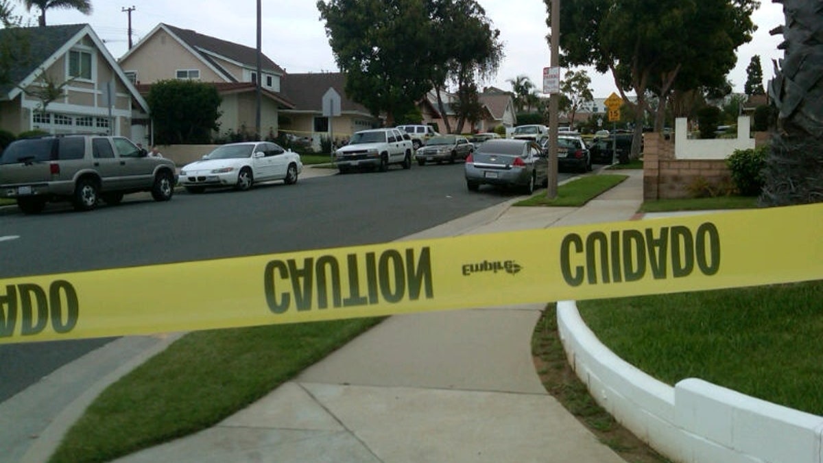 Boy, 14, ditangkap dalam penembakan agen ICE di California