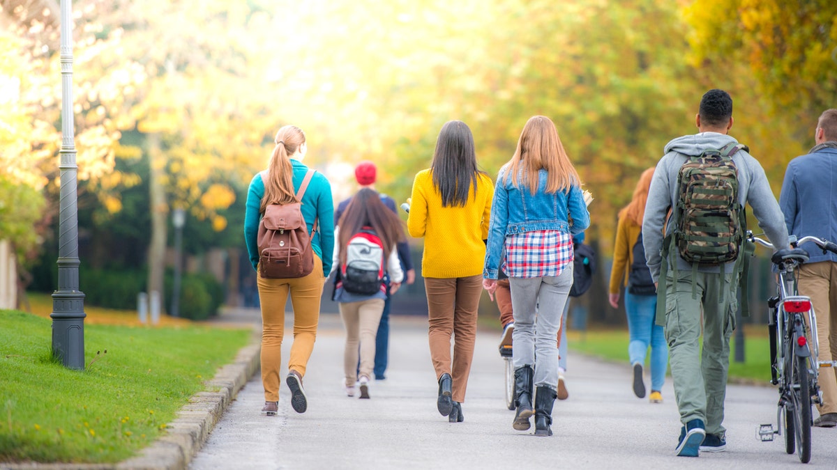 students_walking2