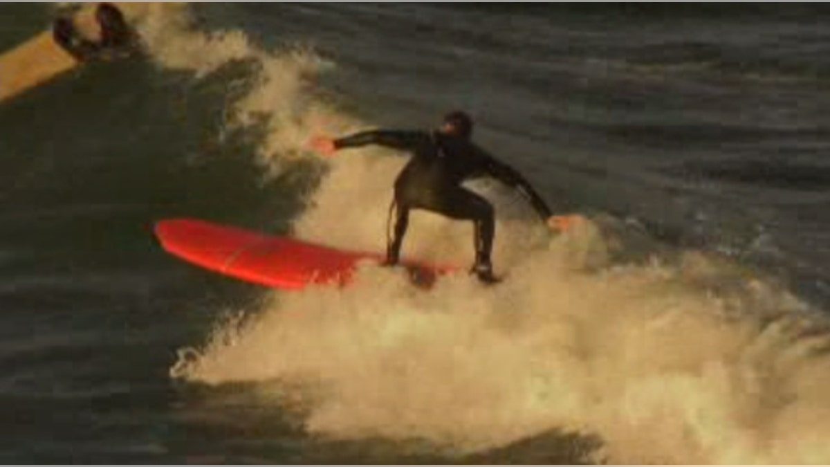 surfer santa cruz shark