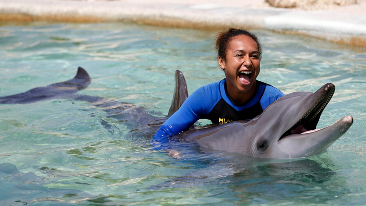 swimming with dolphins reuters