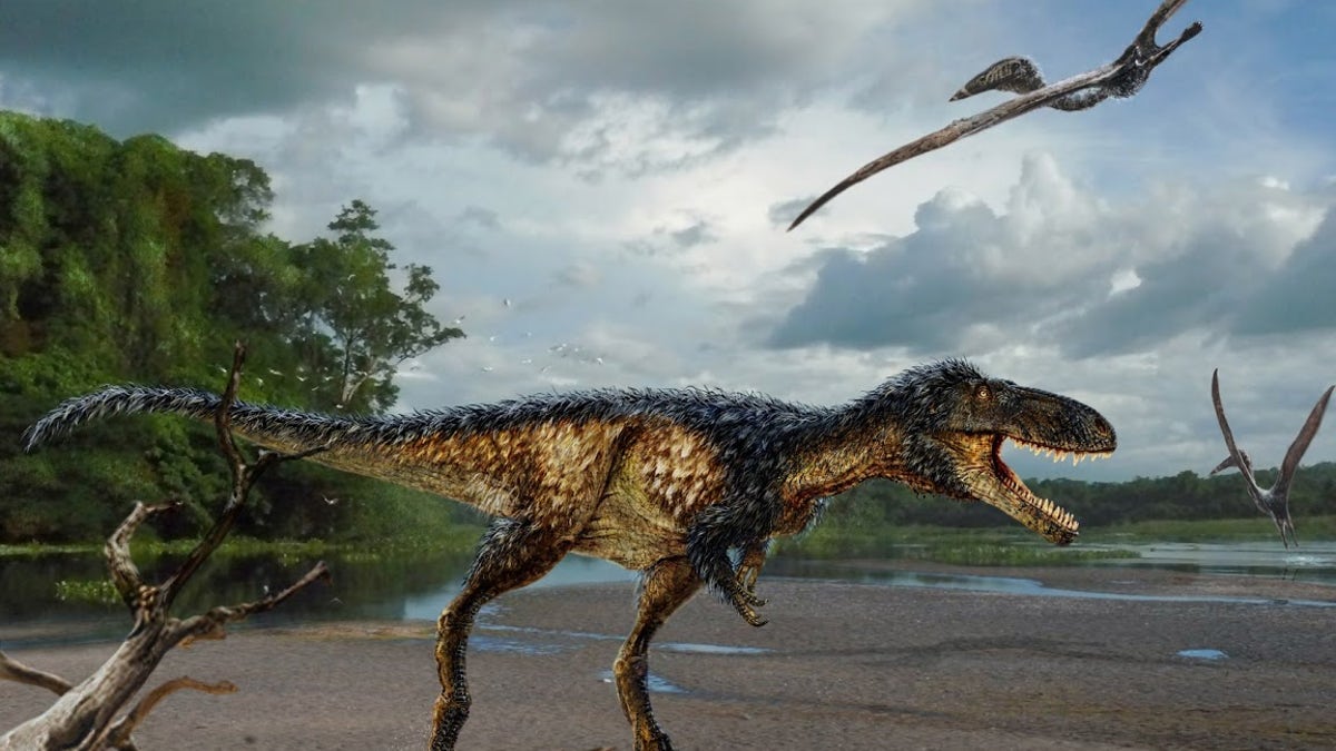 T. Rex cousin
