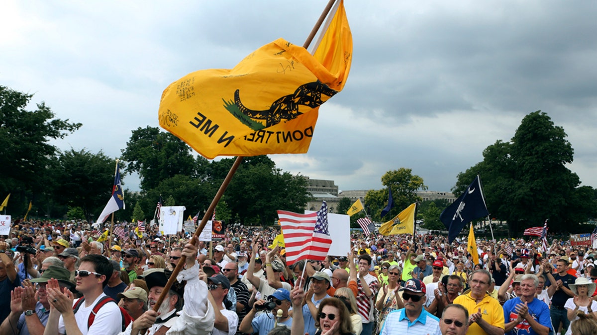 The crowd cheers speaker Glenn Beck (not in picture) during a Tea Party rally to "Audit the IRS" in front of the U.S. Capitol in Washington June 19, 2013. REUTERS/Gary Cameron (UNITED STATES - Tags: POLITICS) - GM1E96K06D801