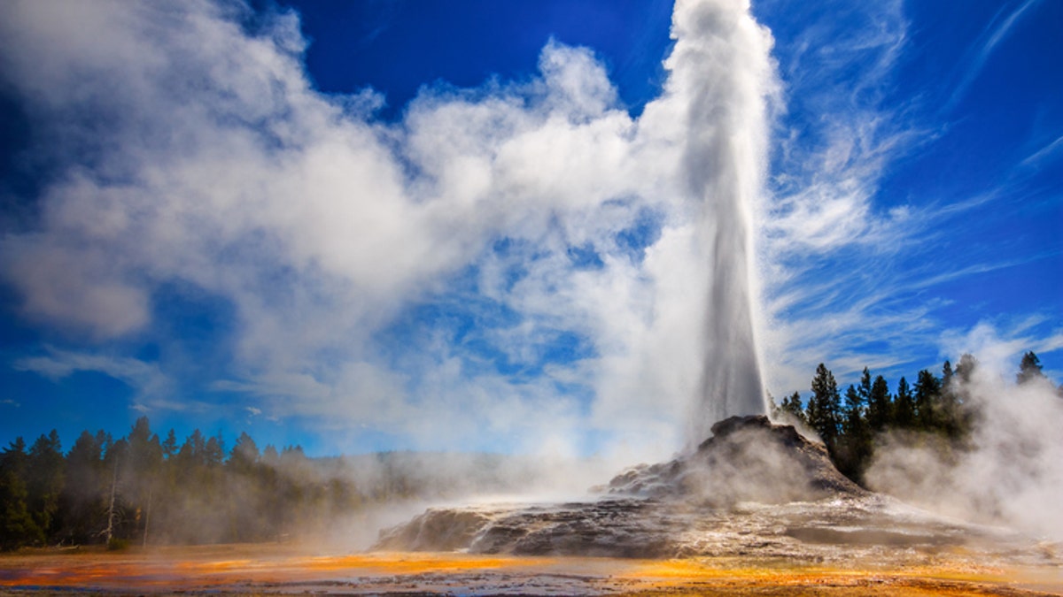 Castle Geyser erupting in Yellowstone in strong back light.