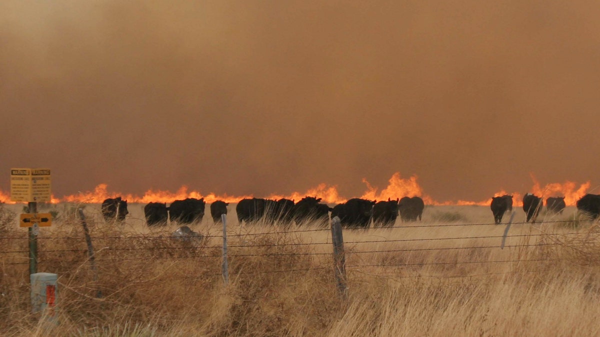 8127a336-Texas Wildfires