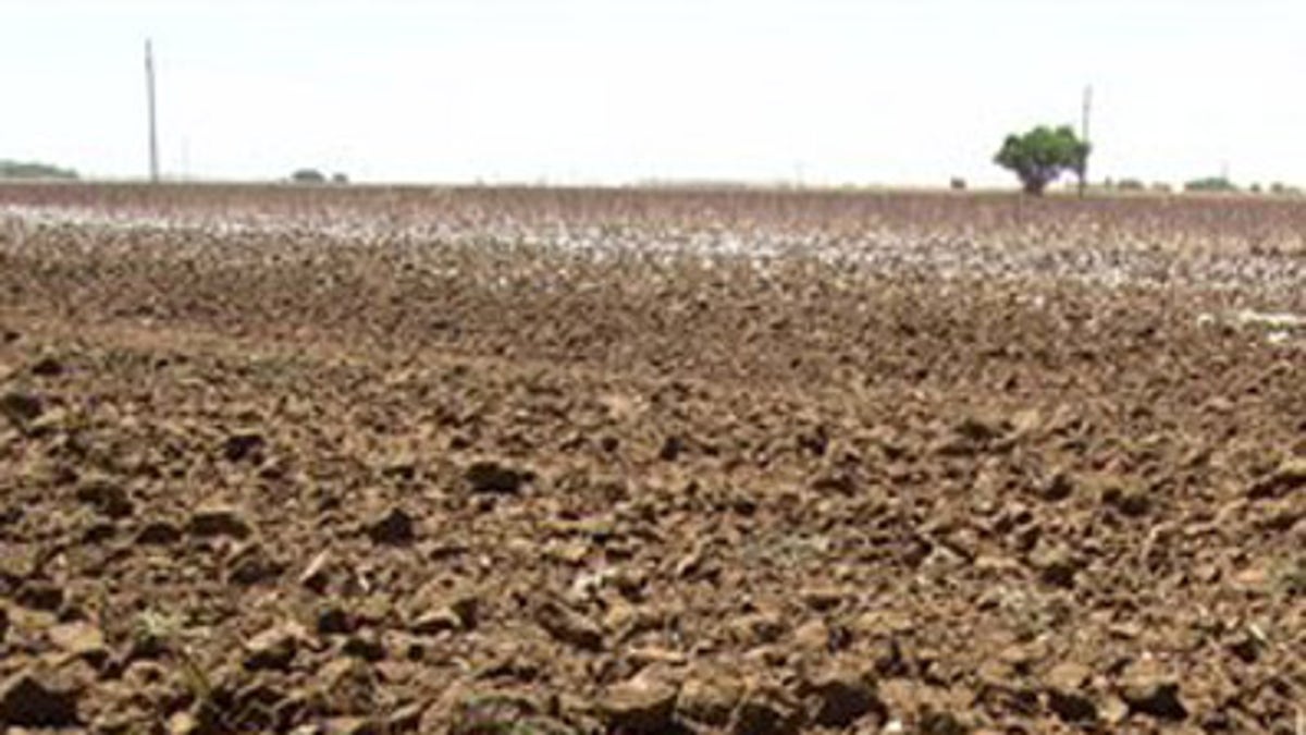 Texas Drought Ag Aid