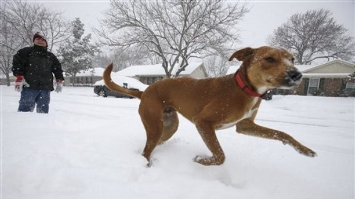 Winter Weather Texas