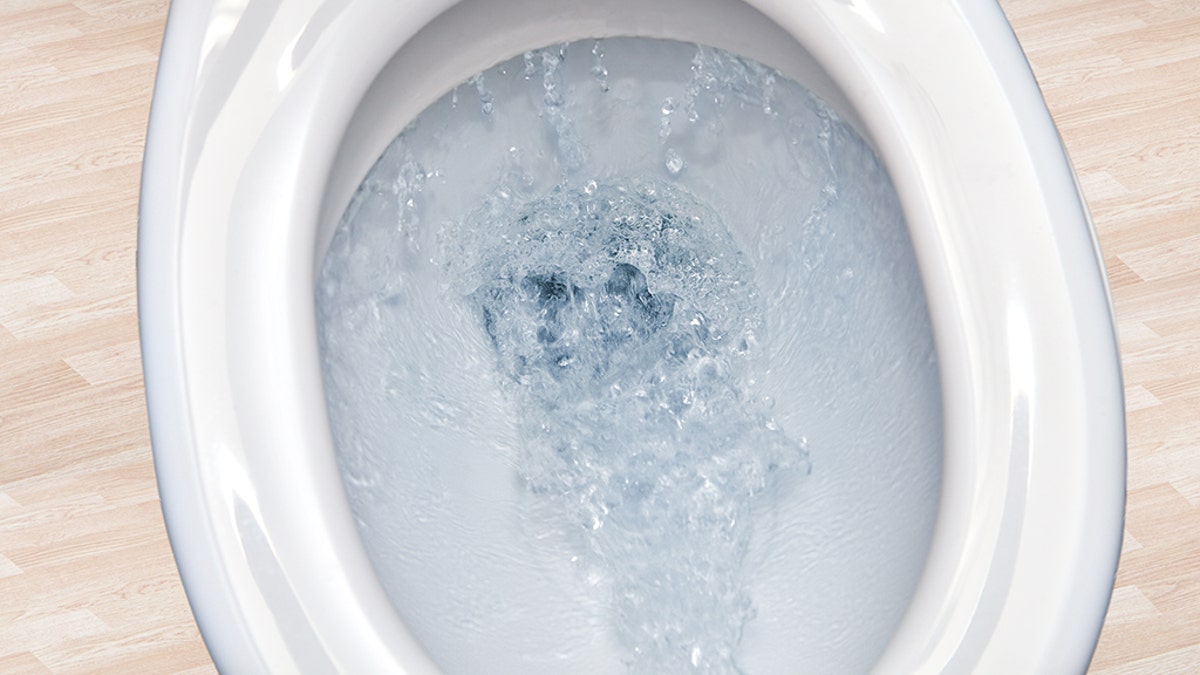 toilet flush istock