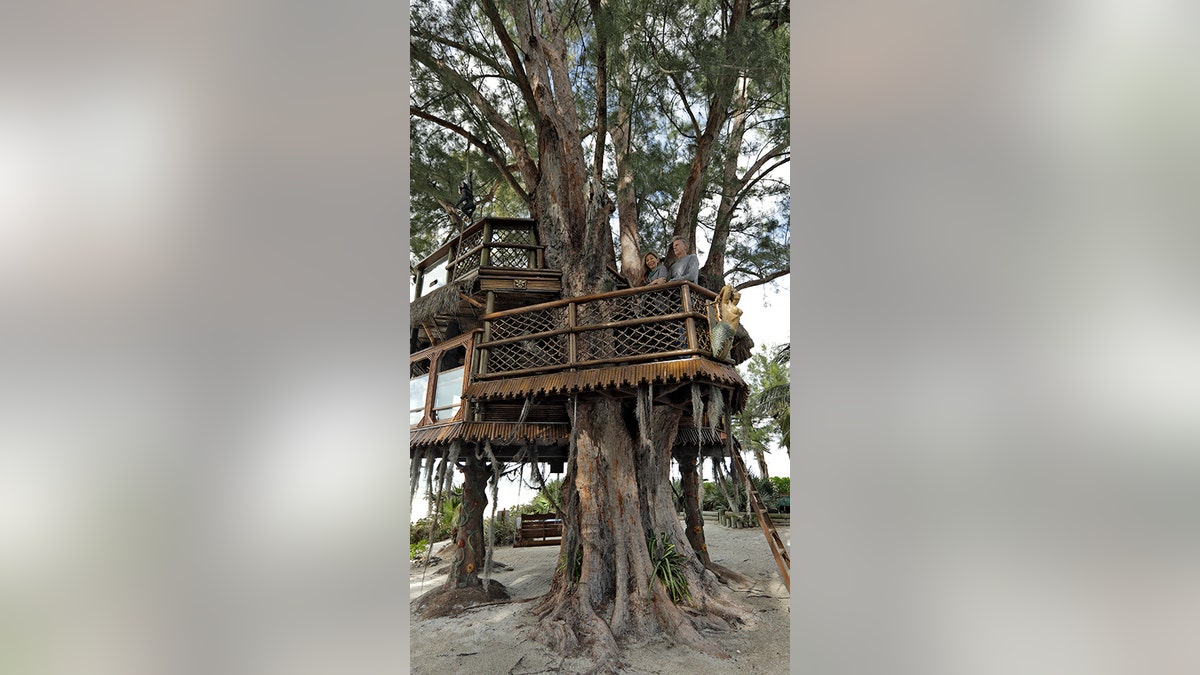 treehouse2