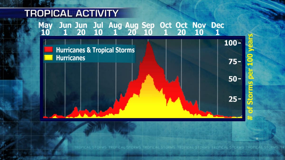 ts activity