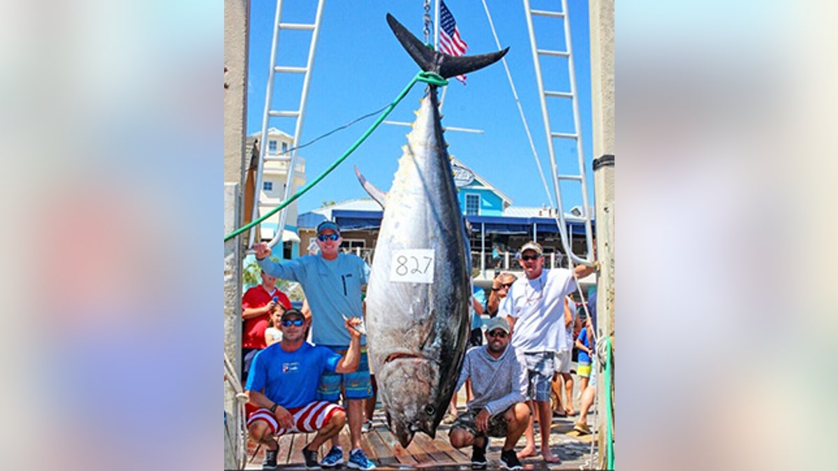 tuna record