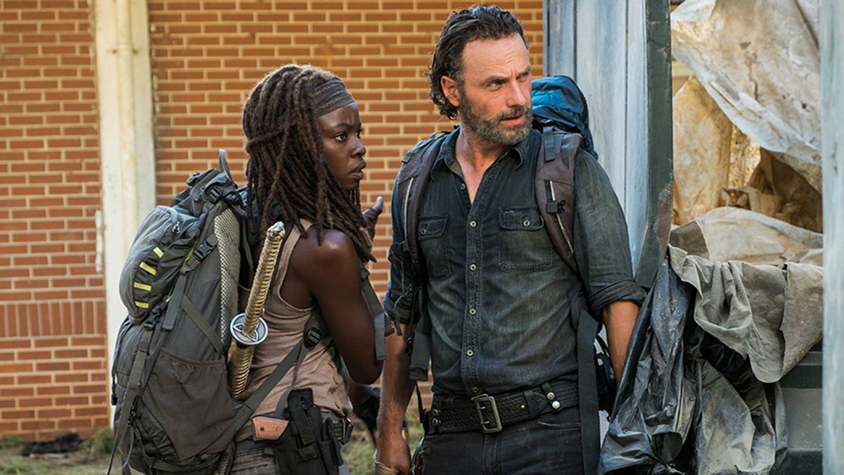 The Walking Dead 71317