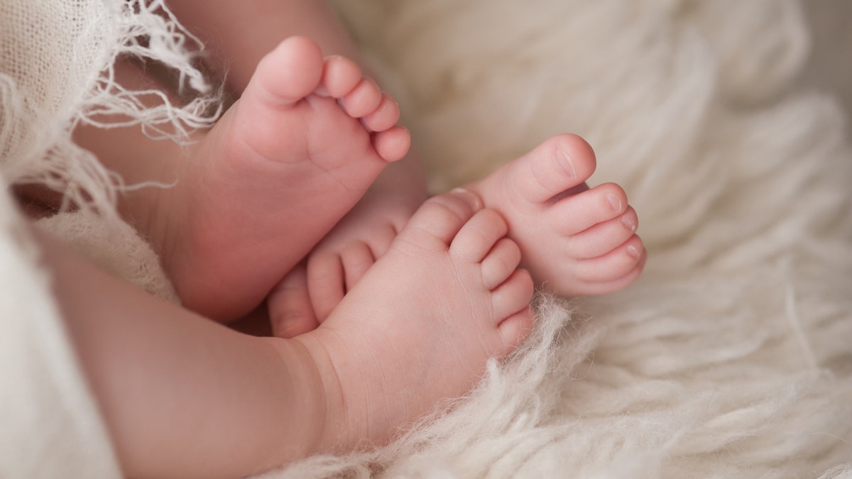 A closeup shot of the feet of twin girl babies. Shot in the studio on a sheepskin rug.
