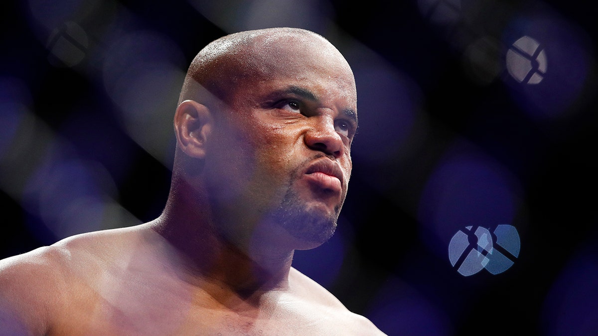 ufc daniel cormier