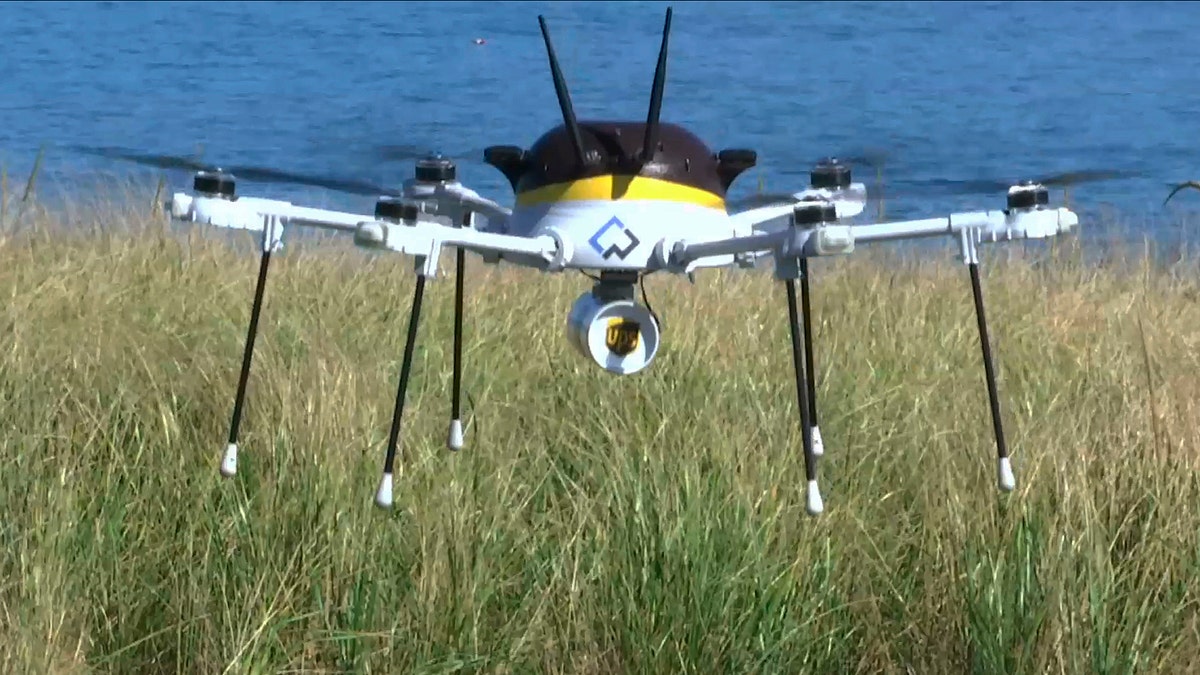 UPS Drones