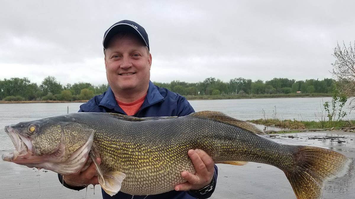 North Dakota man's monster 15-pound walleye catch breaks state's