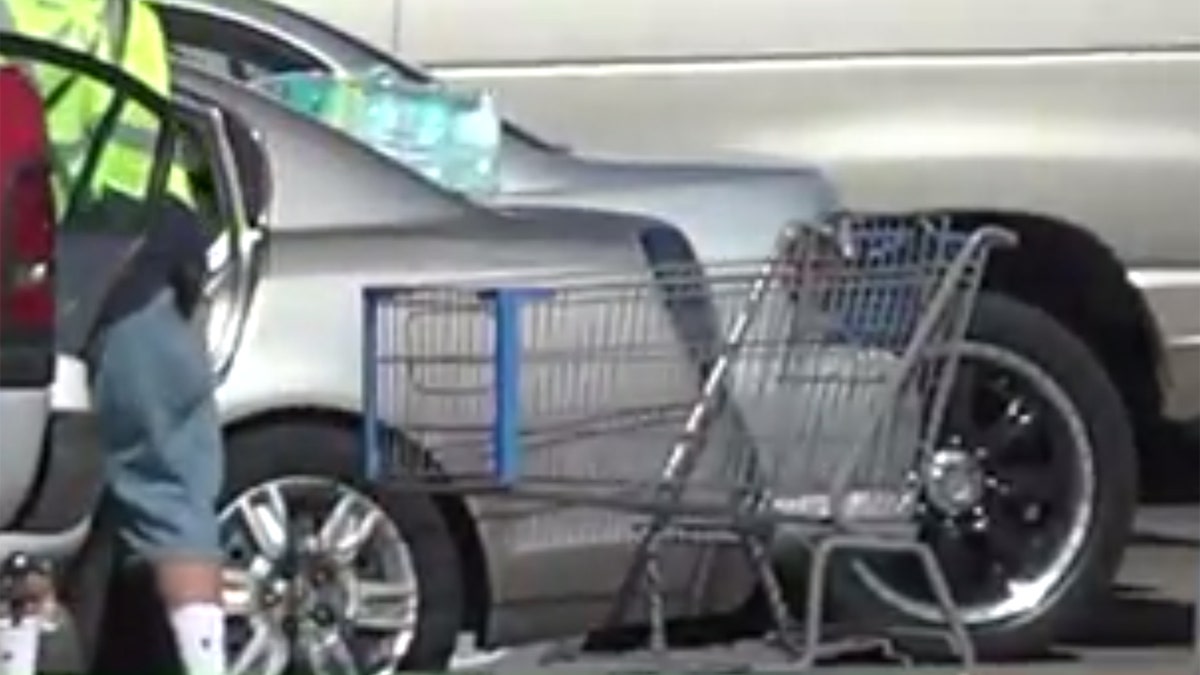 Walmart Shopping Cart
