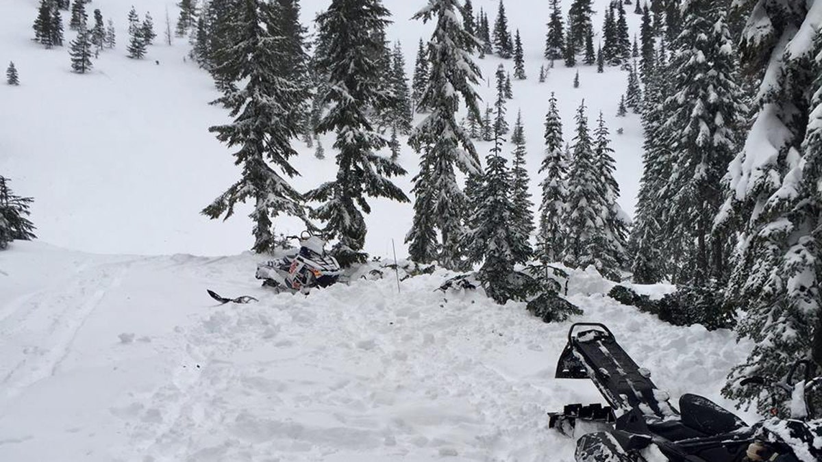 Washington Avalanche