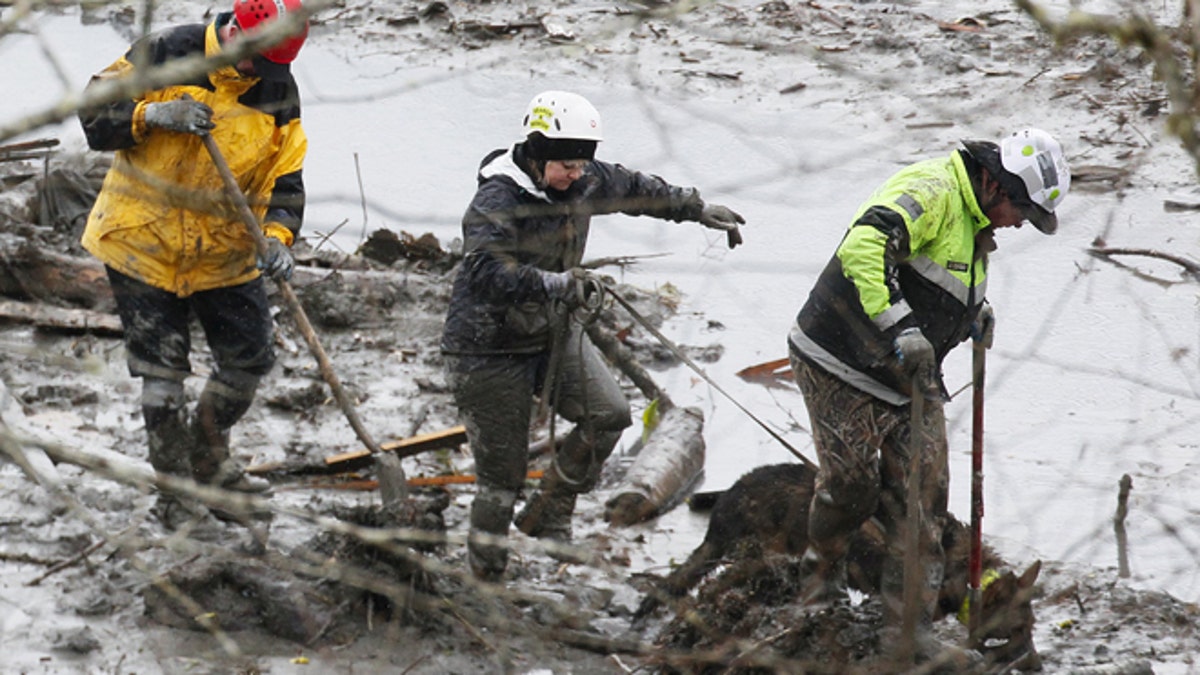 923ffcab-Washington Mudslide