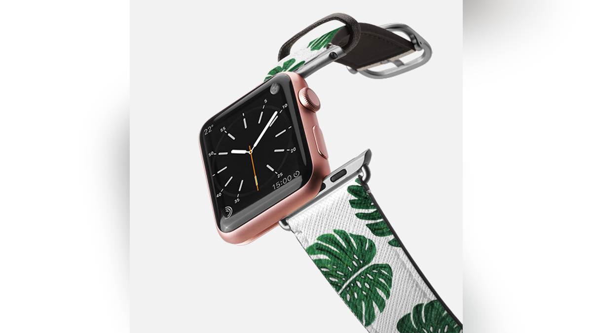 watch band casetify