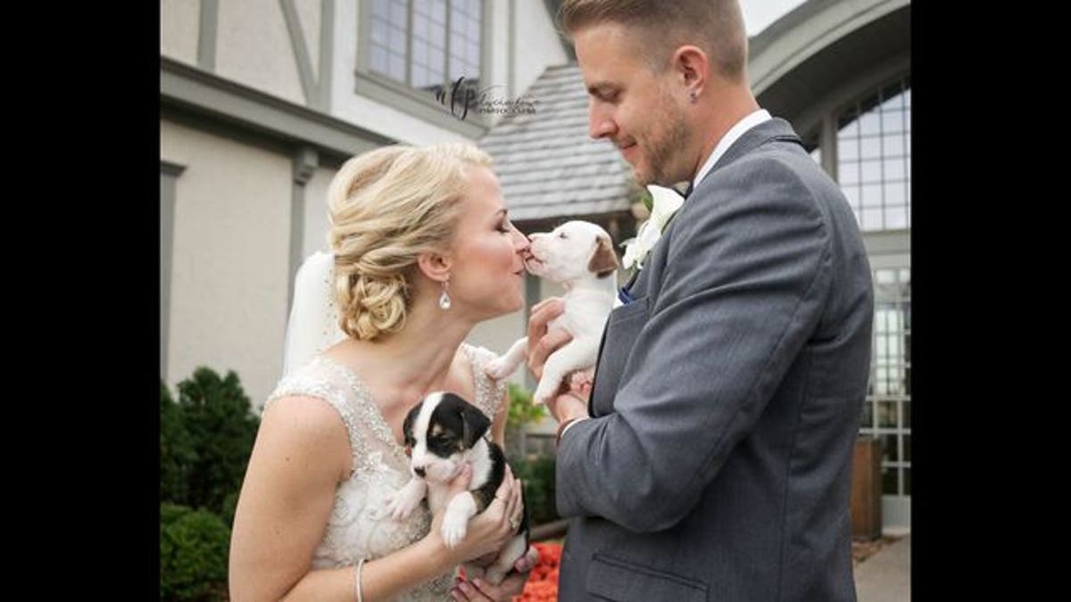 wedding puppies 1019B