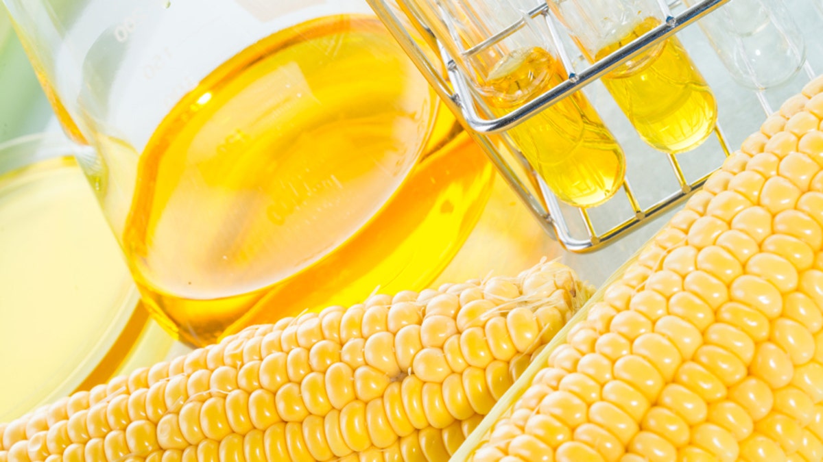 Biofuel or Corn Syrup sweetcorn