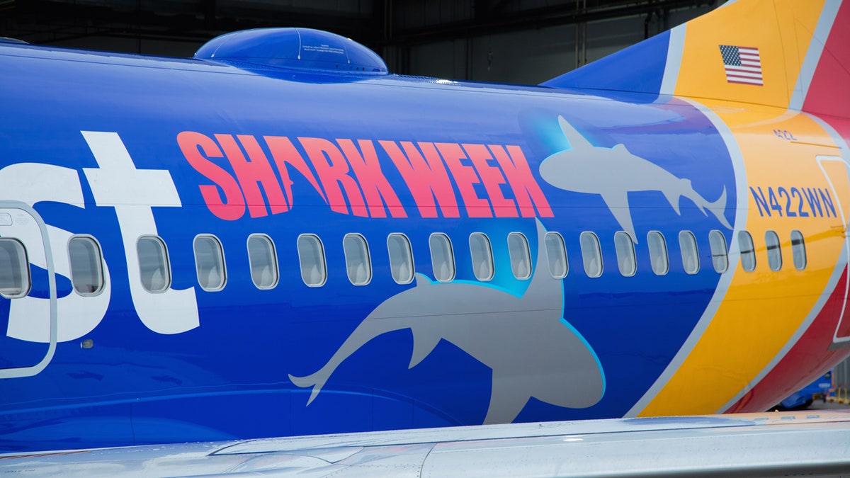 sharkweek 1