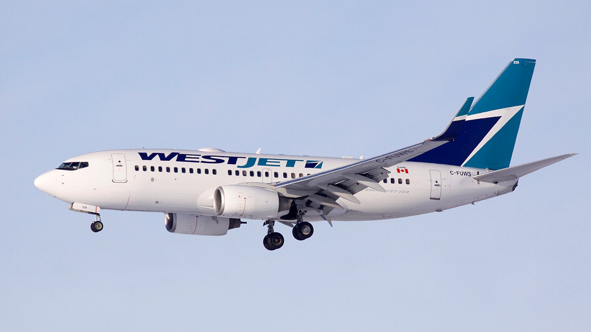 A WestJet Airlines Boeing 737-700 aircraft prepares to land at Calgary International Airport in Alberta January 7, 2010. WestJet Airlines, Canada's No. 2 carrier, reported a record load factor on Wednesday, saying it flew fuller planes in December as it improved call center service after stumbling with a new reservation system.     REUTERS/Todd Korol  (CANADA - Tags: BUSINESS TRANSPORT) - GM1E6180FB301