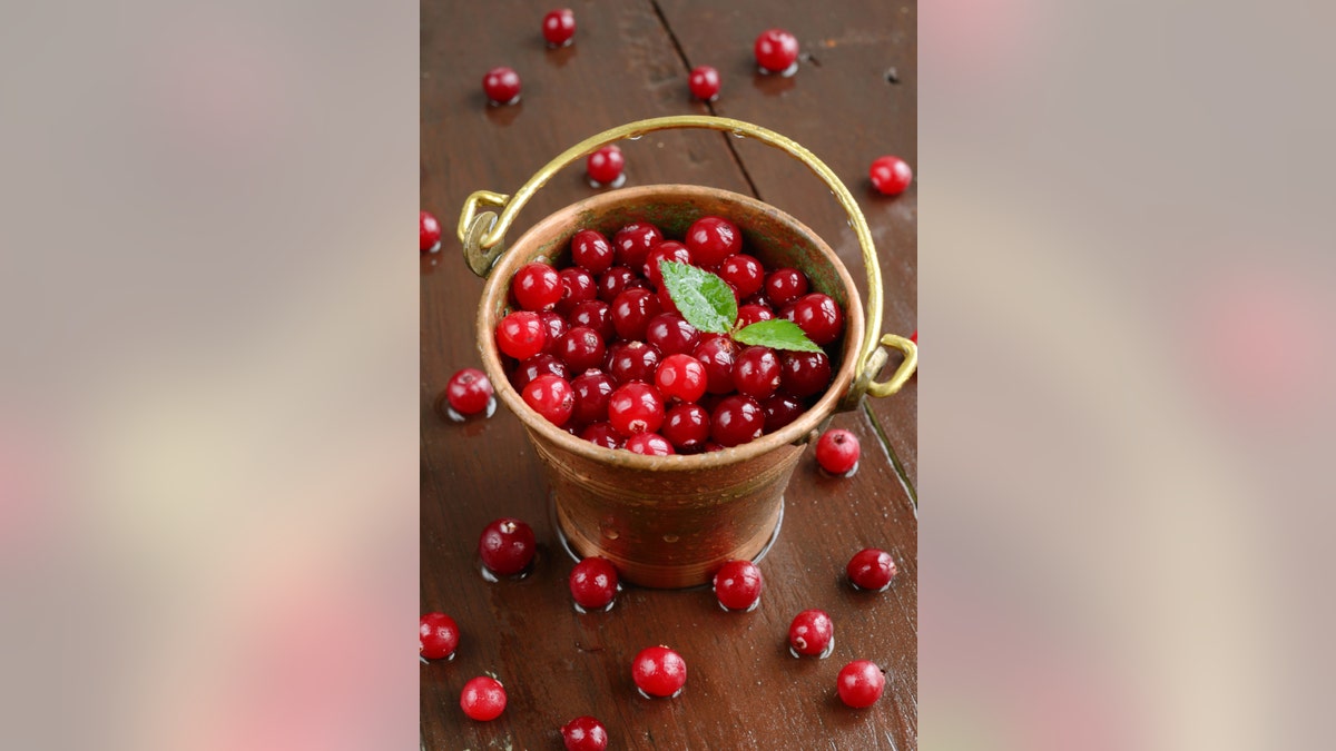 Wild cranberries in little brass bucket