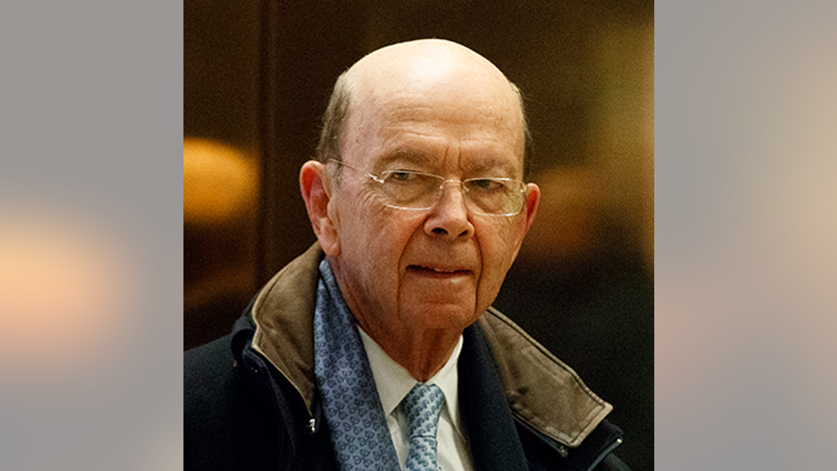 wilbur-ross-dev