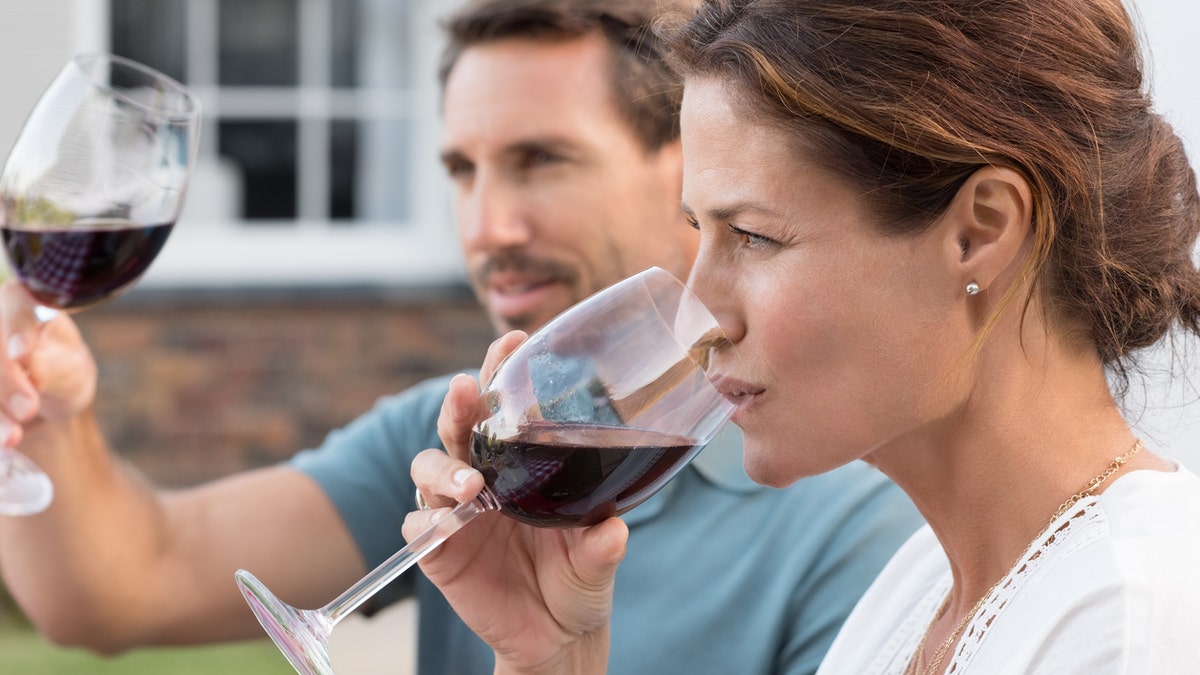 Portrait of young woman drinking red wine while man raising a toast. Mature couple enjoying drinks in the park. Couple enjoying picnic with wine.