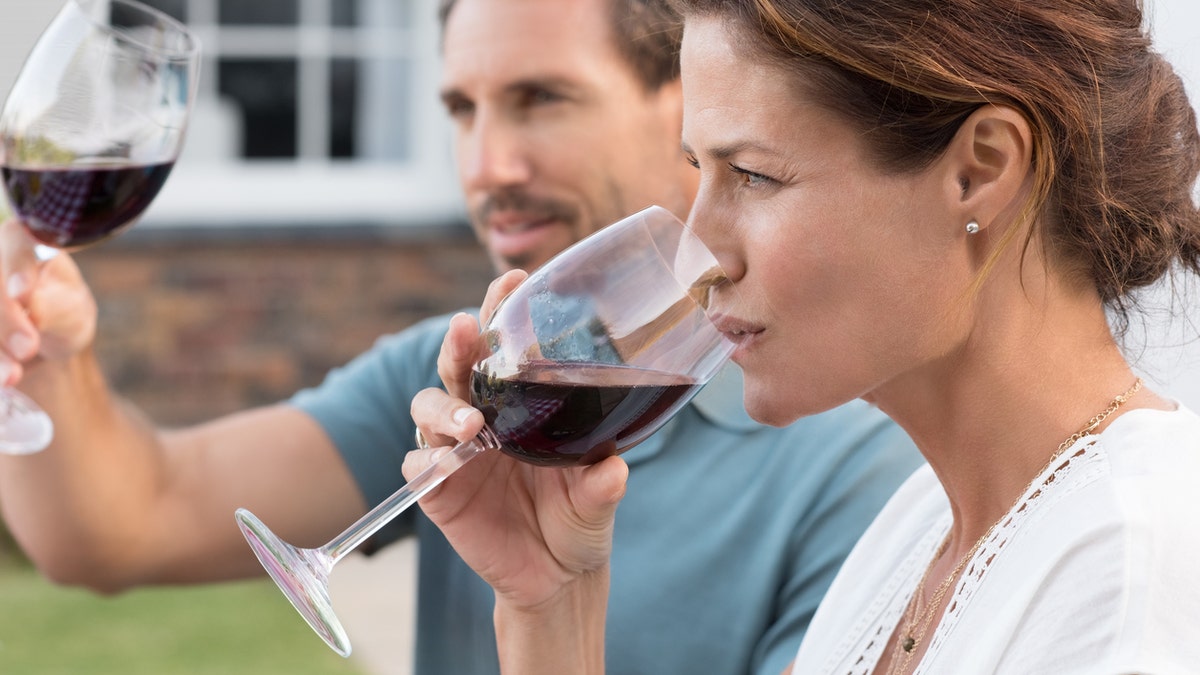 Portrait of young woman drinking red wine while man raising a toast. Mature couple enjoying drinks in the park. Couple enjoying picnic with wine.