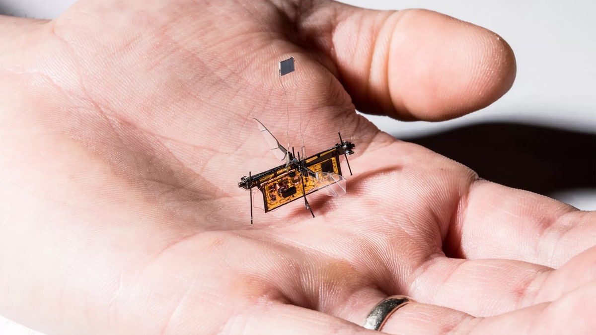 wireless robofly