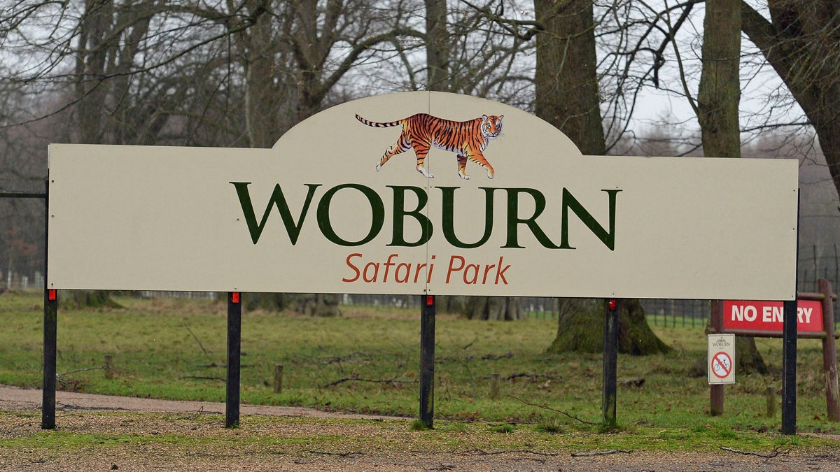 woburn park AP