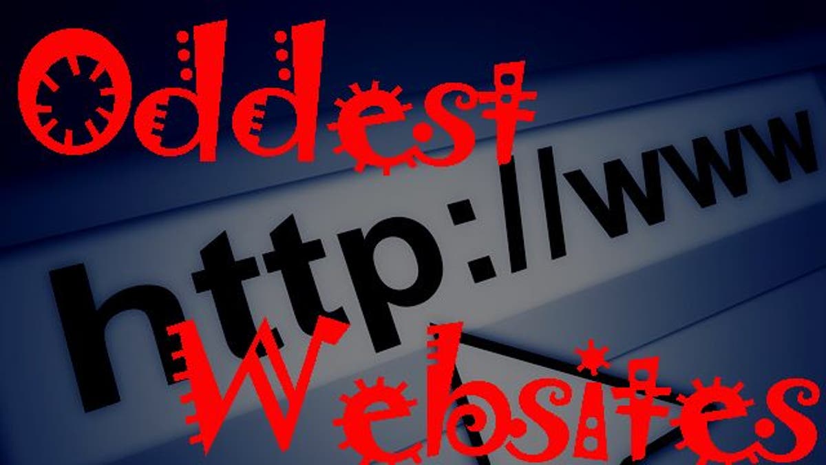 randomwebsites #usefulwebsites #websites #websitesyouneedtoknow