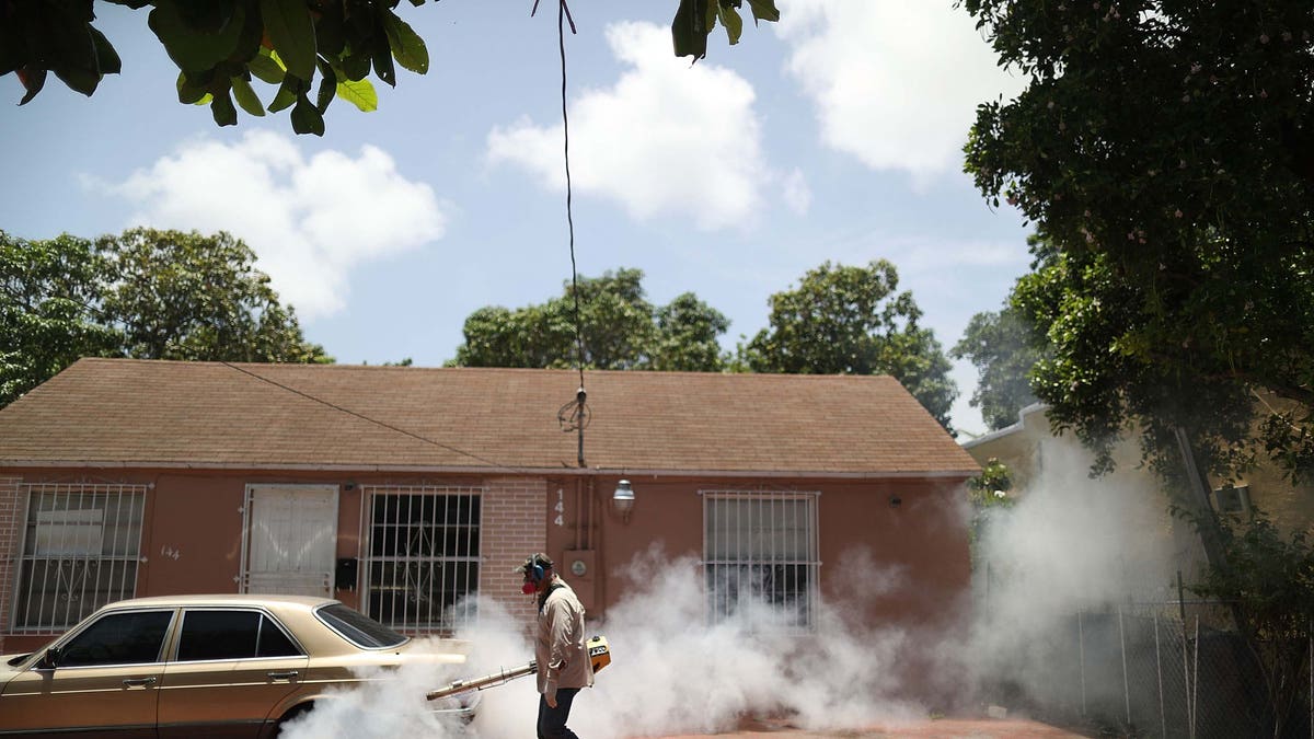 MIAMI, FL - AUGUST 2: Carlos Varas, a Miami-Dade County mosquito inspector, uses a Golden Eagle blower to spray pesticides to kill mosquitoes in the Wynwood neighborhood as the county tries to control the Zika virus outbreak on August 2, 2016 in Miami, Florida. According to reports, 14 people have been infected with the Zika virus by local mosquitoes. (Photo by Joe Raedle/Getty Images)