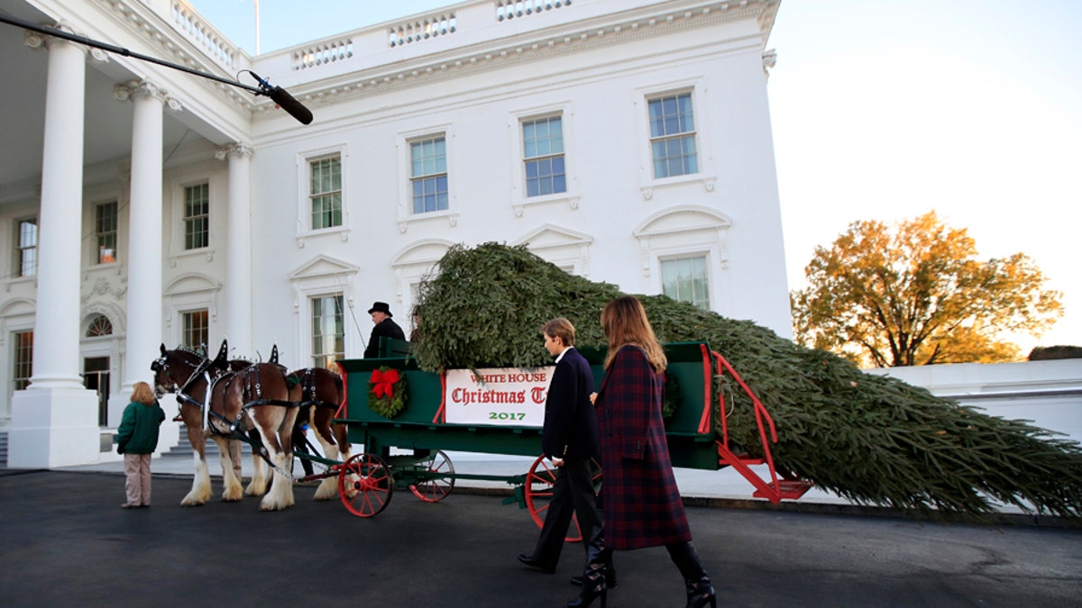 White house xmas tree 2