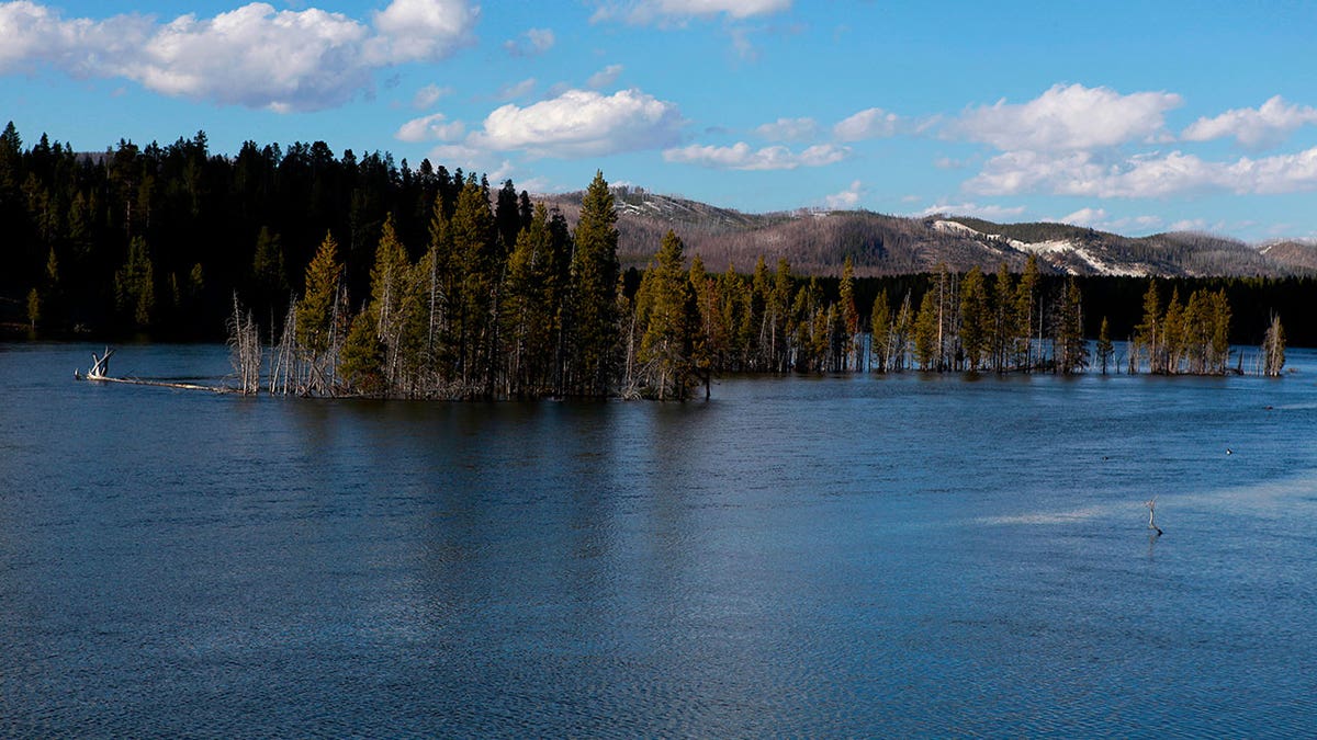 yellowstone reuters