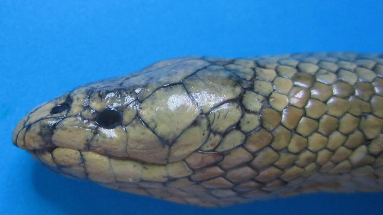 124269_web.jpg?ve=1&tl=1 124269_web.jpg?ve=1&tl=1