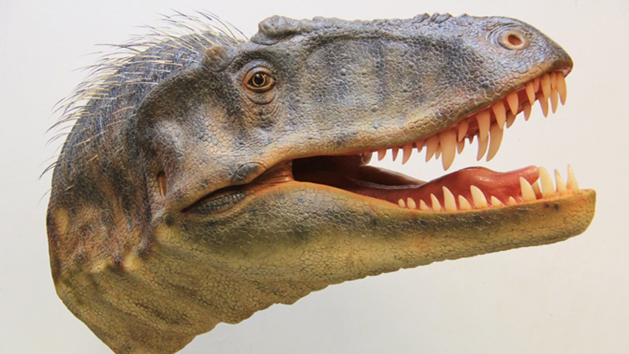 Fleshed-out-head-by-Gary-Staab