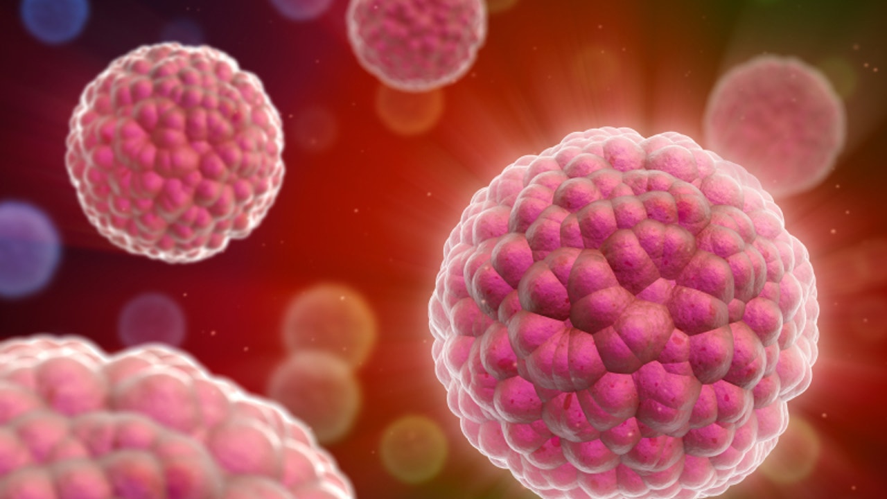 Personalized vaccines may hold promise for ovarian cancer treatment | Fox News