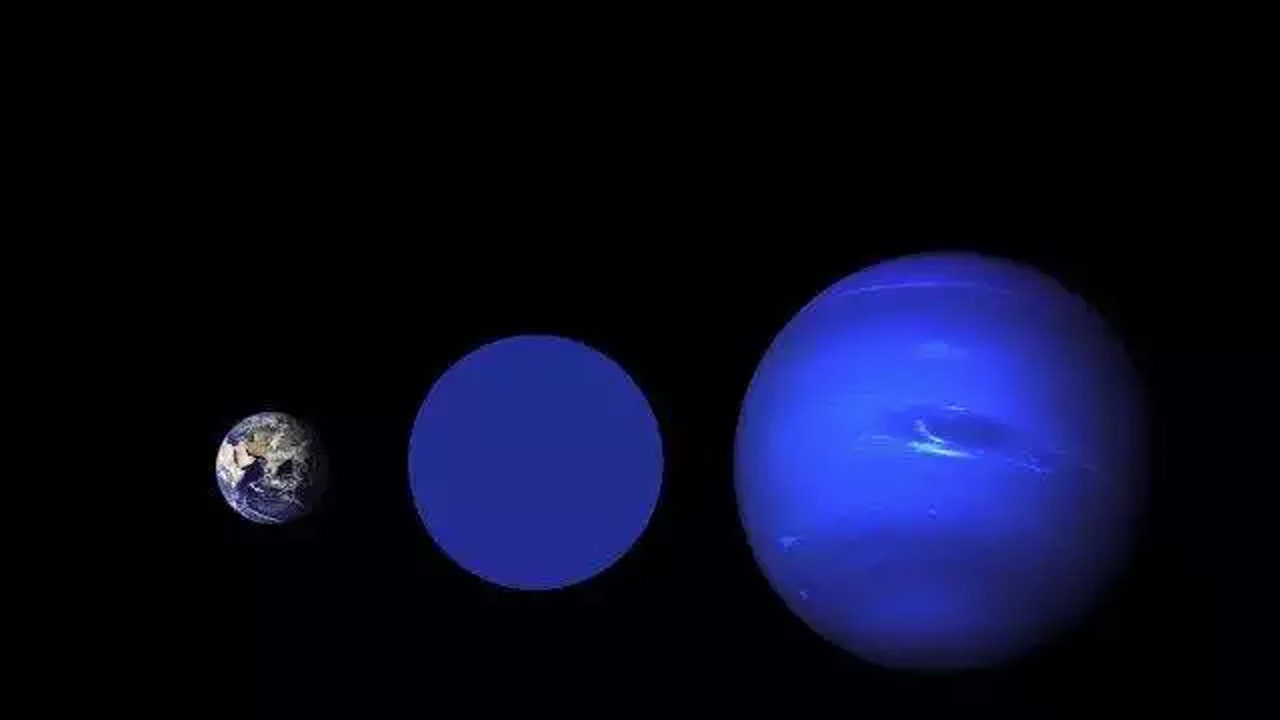 wolf-503b.jpg?ve=1&tl=1