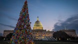 The U.S. Capitol Christmas tree is lit against the early morning sky Wednesday, Dec. 4, 2013 in Washington. The tree was officially lit Tuesday night to kick off the holiday season in the Nation's Capital. (AP Photo/J. David Ake)
