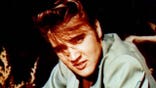The BrewDog Brewery lost its battle against the Elvis Presley estate.