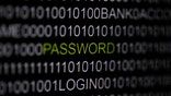 The word 'password' is pictured on a computer screen in this picture illustration taken in Berlin May 21, 2013. The Financial Times' website and Twitter feeds were hacked May 17, 2013, renewing questions about whether the popular social media service has done enough to tighten security as cyber-attacks on the news media intensify. The attack is the latest in which hackers commandeered the Twitter account of a prominent news organization to push their agenda. Twitter's 200 million users worldwide send out more than 400 million tweets a day, making it a potent distributor of news. REUTERS/Pawel Kopczynski   (GERMANY - Tags: CRIME LAW SCIENCE TECHNOLOGY) - RTXZUYO