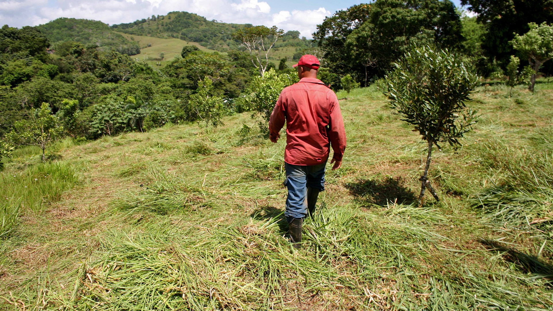 Dominican_Republic_Conservation_4