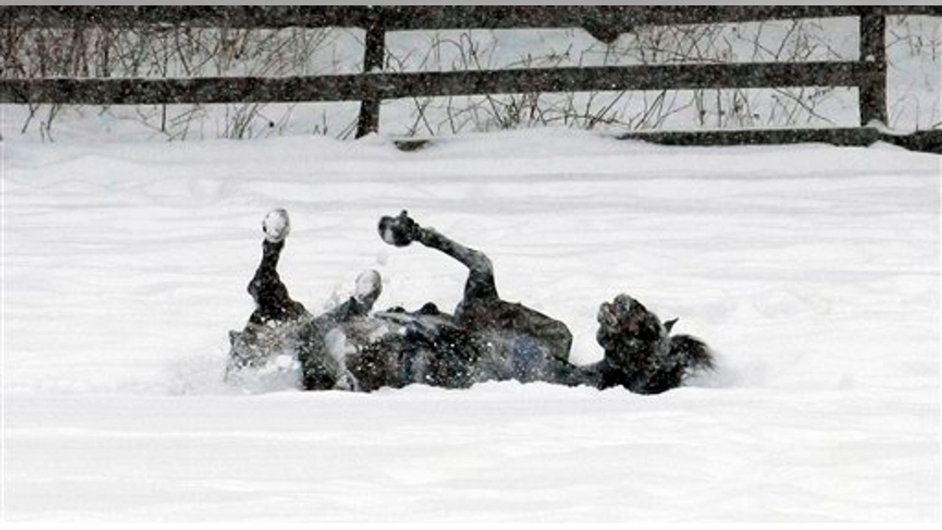 Ohio Winter Weather