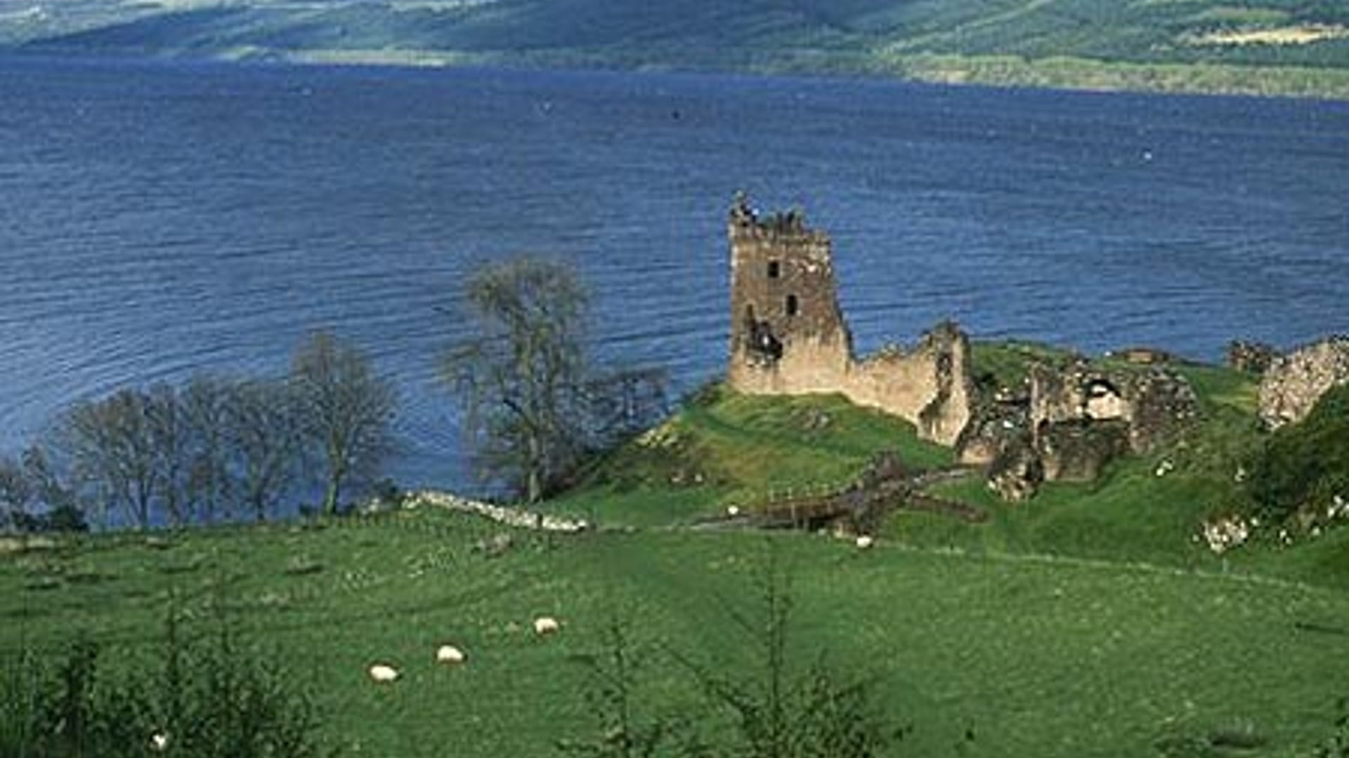 7 New Wonders of the World Contest